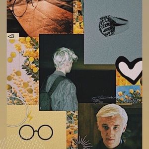 Meet your Posher, Kendall